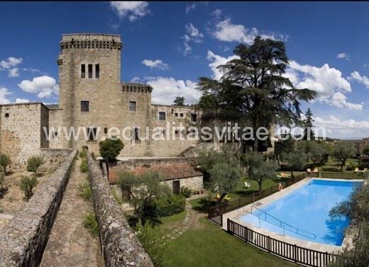 Vista aérea piscina. Foto tomada de www.parador.es