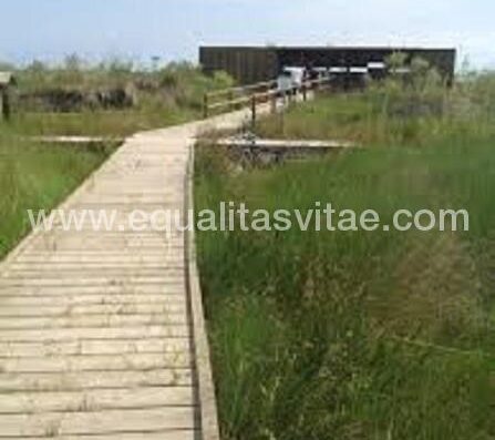 Pasarela hasta el mirador. Foto https://es.wikiloc.com