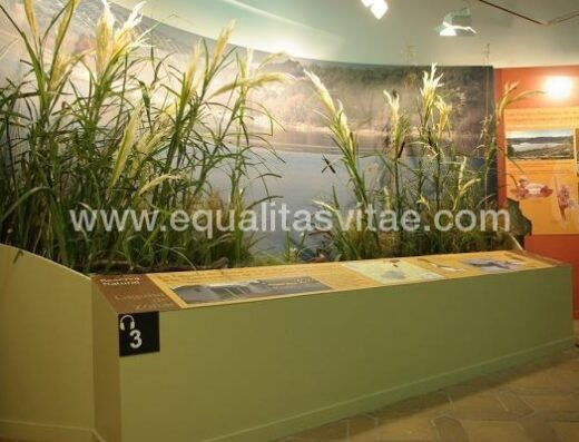 Centro de visitantes accesible para personas con discapacidad. Foto tomada de http://bit.ly/2w5xQeS