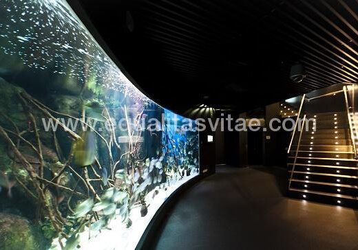 Itinerario accesible en el acuarium de Donostia. Foto http://aquariumss.com/