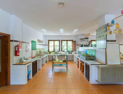 Laboratorio.