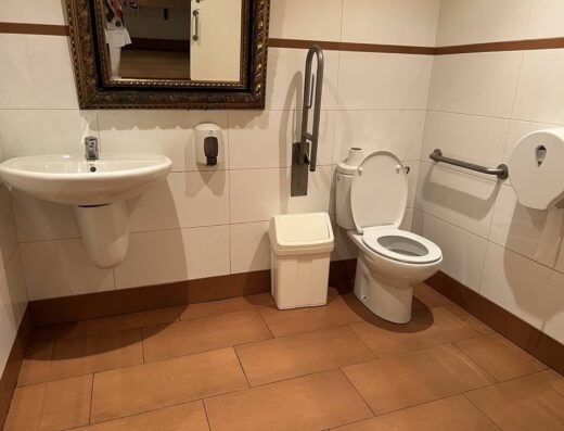 Inodoro con barras de apoyo y lavabo sin pie.