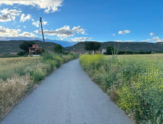 Imagen del camino.