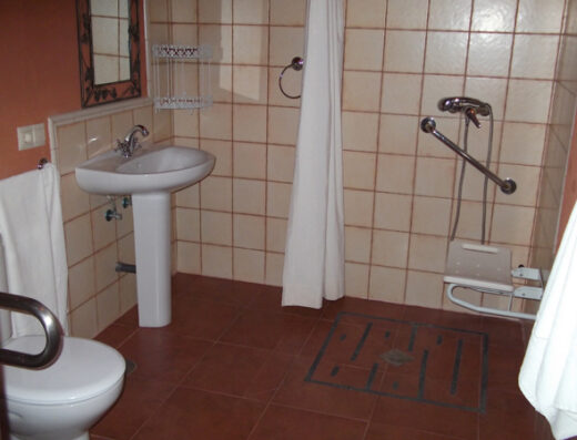 Interior del aseo, ducha a cota cero con barra de apoyo.