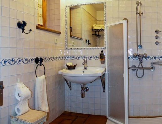 Interior del baño, ducha con mamparas abatibles.
