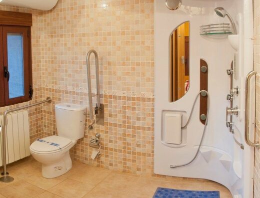 Interior del baño con inodoro con barras y ducha a cota cero.