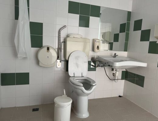 Interior del aseo. Inodoro gerontológico con barras y lavabo sin pie.