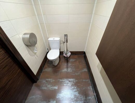 Interior del aseo adaptado