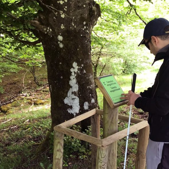 Persona ciega tocando uno de los paneles informativos en braille junto a un árbol