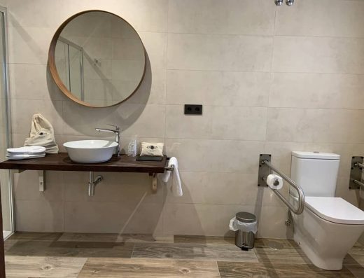 Zona lavabo e inodoro.