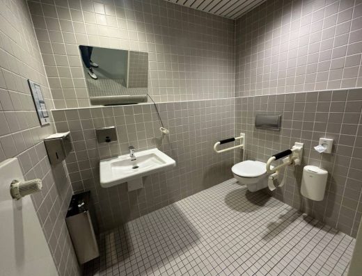 Interior de baño adaptado con inodoro con barras.