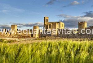 Imagen de entorno fortificado con varias torres almenadas.