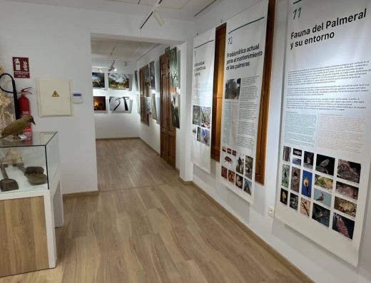 Imagen de interior de la sala.