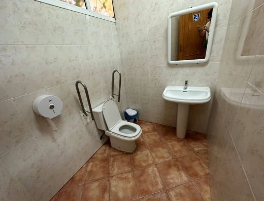 Imagen de cabina de aseo adaptado. Inodoro con barras de apoyo.