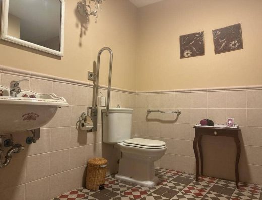 Imagen del interior del baño de la habitación con inodoro con barras de apoyo.