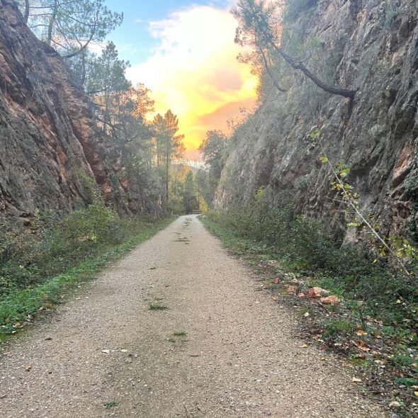 Imagen de sendero.