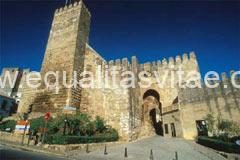 RUTA TURÍSTICA BÁSICA POR CARMONA
