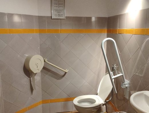Imagen de inodoro con barras de apoyo.