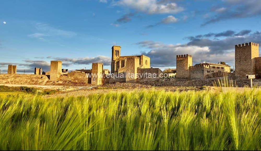Imagen de vista panorámica de la fortificación de Artajona.