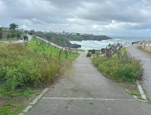 Imagen de sendero de acceso hasta la playa.