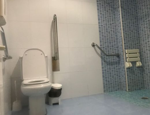 Imagen de inodoro con barras.