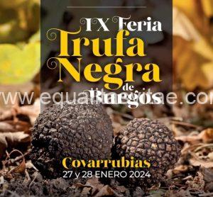 Imagen del cartel. Feria 27 y 28 de enero.
