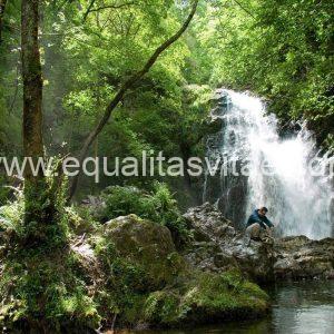 Imagen de cascada.