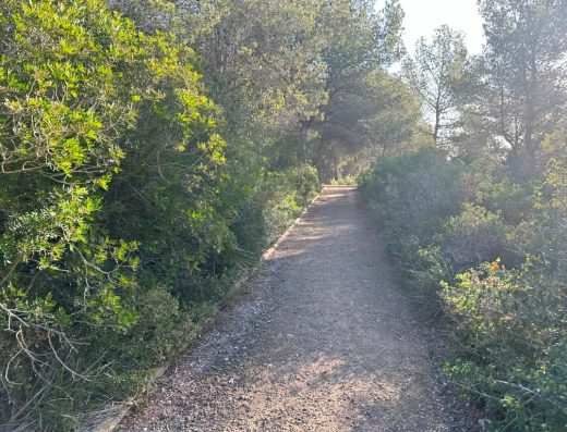 Imagen de sendero.