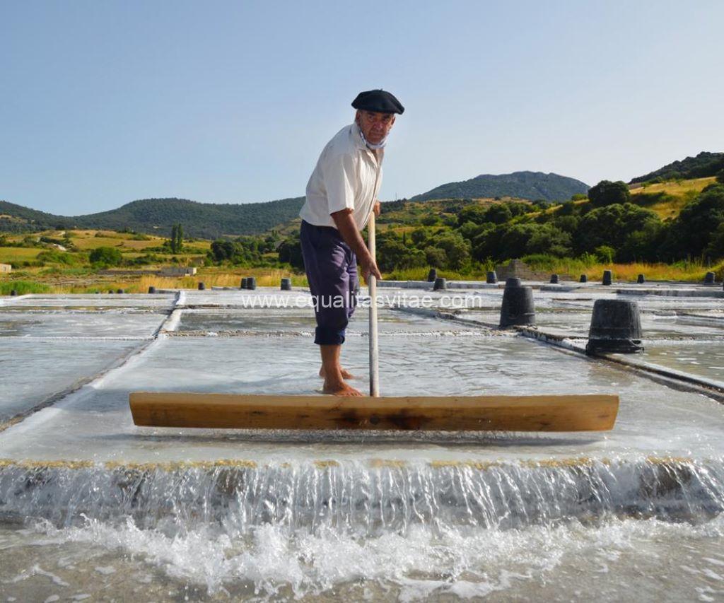Imagen de salinero sobre agua.