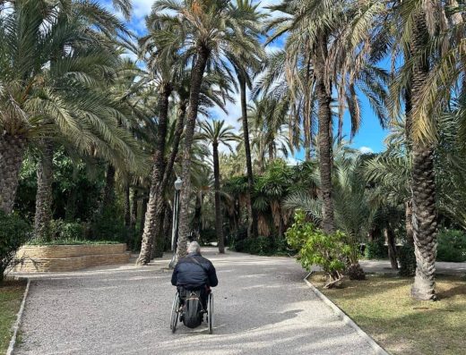 Imagen de usuario de silla de ruedas recorriendo el palmeral.