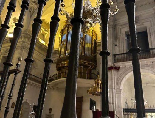 Imagen de reja