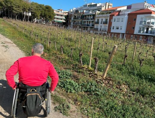 Imagen de usuario de silla de ruedas por sendero junto a los viñedos.