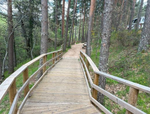 Imagen de sendero con tarima de madera.