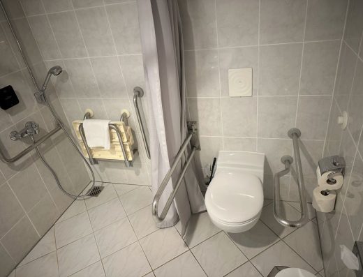 Imagen de inodoro con barras junto a la ducha accesible a cota cero.
