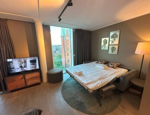 Imagen del sofá cama.