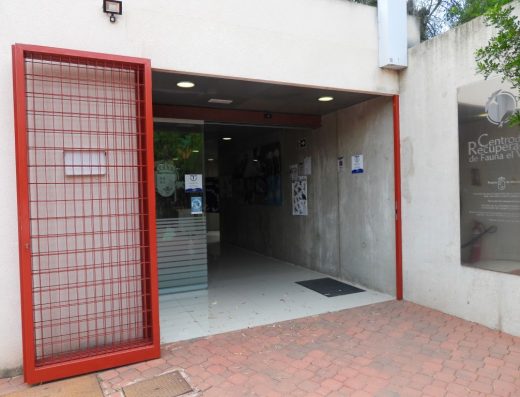 Imagen de la entrada a cota cero.