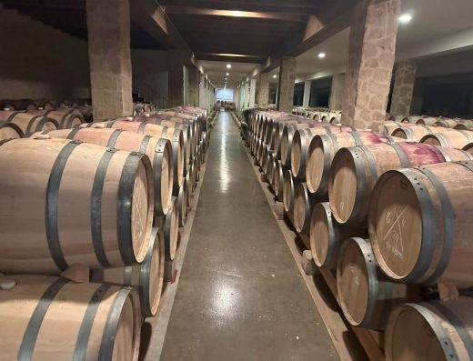 Imagen de las barricas donde maduran el vino
