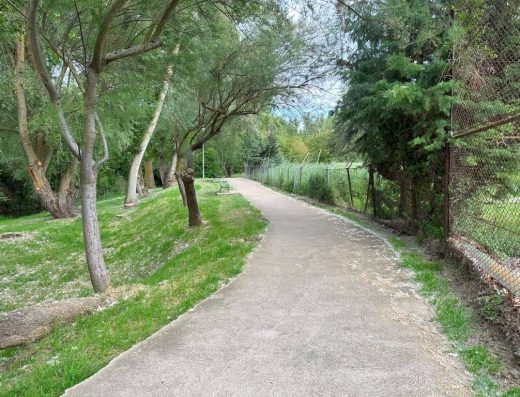 Imagen de camino asfaltado durante el paseo