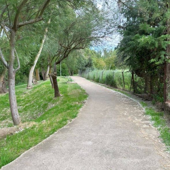 Imagen de camino asfaltado durante el paseo