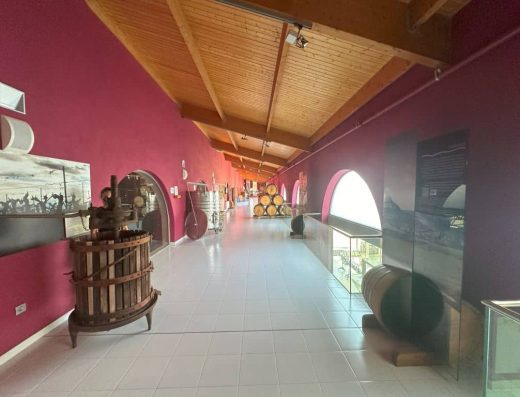 Imagen de maquinaria utilizada para la elaboración del vino rn bodega accesible