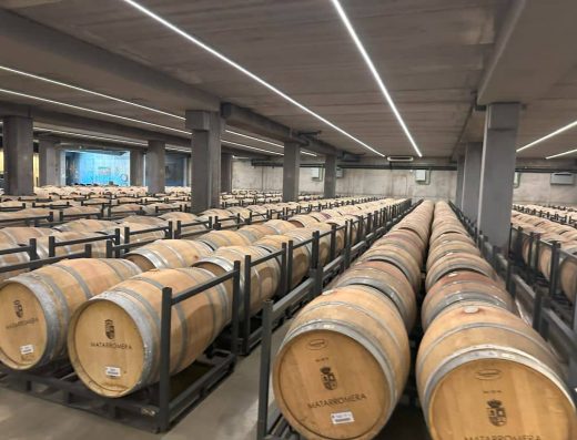 Imagen de cientos de barricas llevas de vino en la bodega acesible