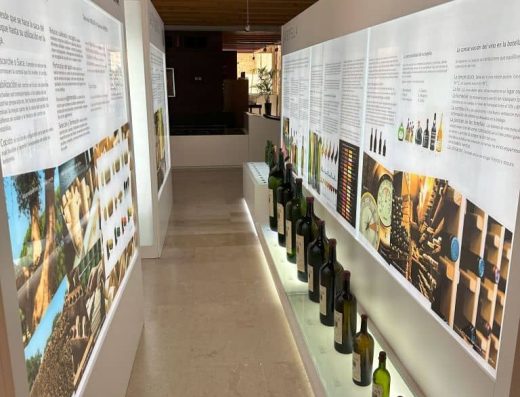 Imagen de exposicion interior en el museo provincial del vino accesible