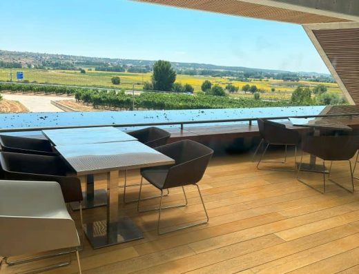 Imagen de mesas con vistas a los viñedos en restaurante accesible de la bodega accesible