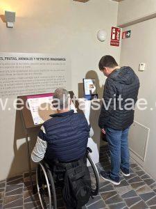 Imagen de una persona usuaria de silla de ruedas junto a un panel y persona con discapacidad intelectual viendo información en lectura fácil.