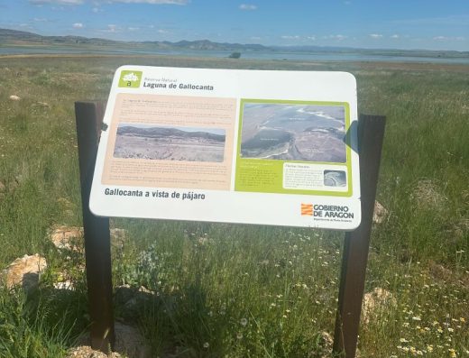 Imagen del panel interpretativo de la laguna de Gallocanta.