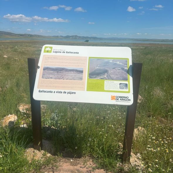Imagen del panel interpretativo de la laguna de Gallocanta.