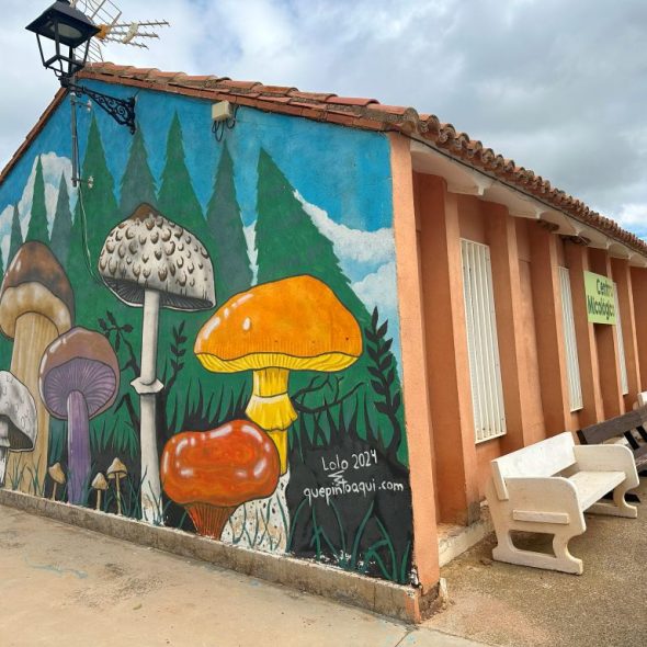 Imagen de un mural de varias setas en un bosque, realizado en 2024 por Lolo.