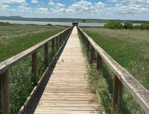 Imagen de la pasarela de madera que lleva hasta el mirador de la laguna.