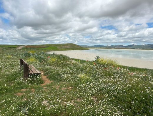 Imagen panorámica de la laguna con un banco de descanso junto a la orilla.