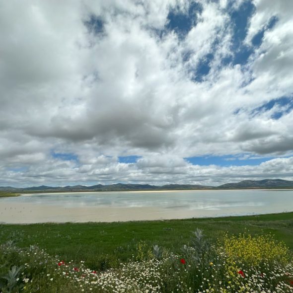 Imagen panorámica de la laguna.